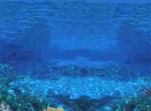 undersea_r2_c4[1].jpg